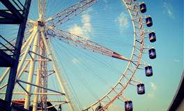 有话话直说，不会顾及他人感受的星座