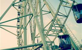 静电鱼金牛座一周运势（1.31-2.6）