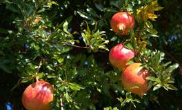 苏珊米勒2022年1月水瓶座运势完整版