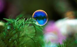 竹猫星球水瓶座一周塔罗运势（1.3-1.9）