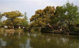 苏珊米勒2022年双子座运势