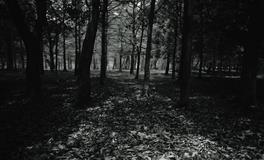 判答占星金牛座2022年3月运势