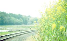 2022年2月财运大发的属相男女