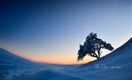 2022年2月下旬狮子座运势（感情、成长与财富）