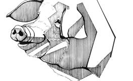 2022生肖运势排行榜第三名：事业运上升