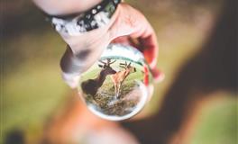 揭秘：是什么？挡住了双子座搞钱的脚步！