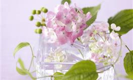 哪些星座最会享受，活在当下，会努力让自己快乐