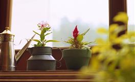 睚眦必报，报复心强，绝不吃亏的三大星座