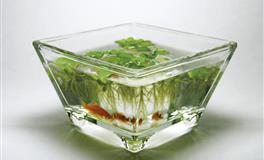 占星骑士12星座一周职场运势（3.28-4.3）