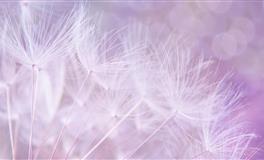 能让处女座心甘情愿臣服的四种人，每一种都是处女座的理想型