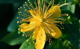 苏珊米勒每日运势2022年3月24日