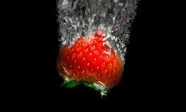 满脑子鬼点子，最不好对付的三大星座，洞察力极强，简直就是人精