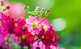 天蝎座恋爱后究竟会有多大改变？