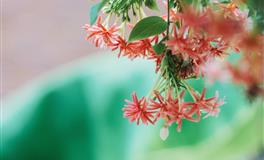 做事雷声大雨点小的三大星座