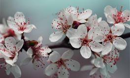 苏珊米勒每日运势2022年3月28日