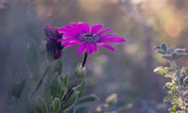 生性凉薄，很难产生感情的几大星座