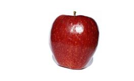 为人太耿直，这4个星座容易得罪人，说话口无遮拦