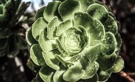 愿意陪你同甘共苦的三个星座，永远对你不离不弃，千万要珍惜