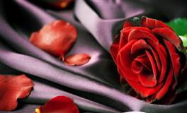 探讨四大血型女的友情攻略