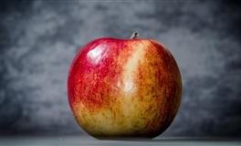 一旦被伤透了心，就再也找不到爱的勇气，一生只会爱一次的星座