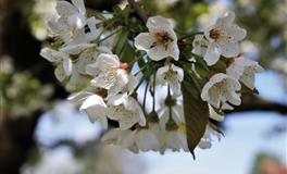 不懂女人心的4个生肖男，经常把恋人气哭，不懂得退让