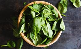 竹猫星球双子座一周塔罗运势（3.21-3.27）