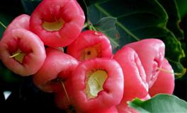 有头脑却喜欢装傻的三大星座，实际上最有大智慧