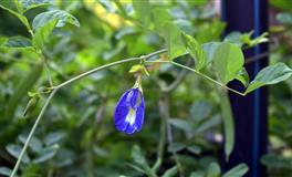 花甜狮子座2022年4月运势