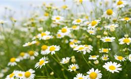 爱抱怨的四个星座，要么怪别人，要么怪时机不对