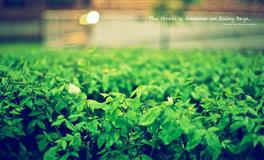 这几个星座求求你们别内卷了！