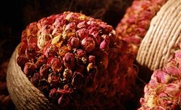 羲邑师姐生肖蛇一周运势(4.4-4.10)