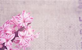 塔娜兹：2022年冥王星逆行