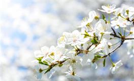 苏珊米勒每日运势2022年4月21日