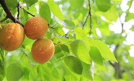 Kiddo一周星座运势（4.4-4.10）