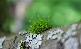 29岁前有这几个星座闺蜜，妳一定会越过越好！