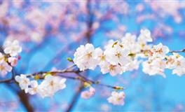 当天王星在金牛座行进，从金钱方面分析对你的影响