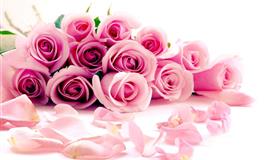 神叨酱心灵疗愈指引2022年4月28日