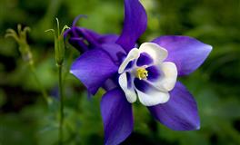 “宰相肚里能乘船”，很难从心底恨一个人的三大星座