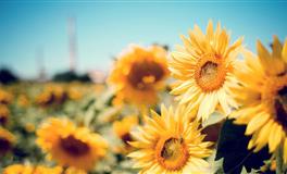 嫉妒心强，最爱攀比的3星座，爱慕虚荣，最见不得别人好