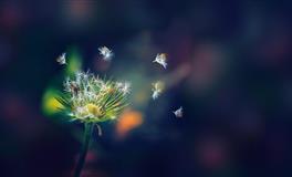 不善于人际交往，最不合群的三大星座，却能成大事！