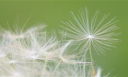 一吵架，总能占上风的三大星座，你可上榜