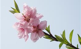 办事能力强，不露锋芒的星座，真正的聪明人