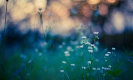 没啥大理想，只想发财的星座，喜欢好吃好喝，花钱不愁