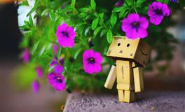 喜欢“装傻”的三个生肖女，其实心里比谁都明白，只是不愿意说出