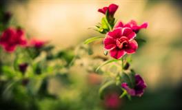 为人绅士，舍得为女友花钱的星座，快快领走吧