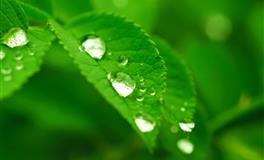 Pandora占星小巫2022年5月星座运势