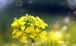 能吃苦经得起大风大浪，创业容易成功的星座