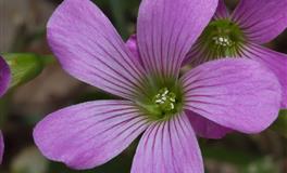 相处之后，这三大星座会很容易让人喜欢