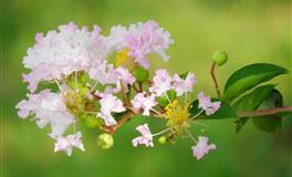 Pandora占星小巫2022年5月天蝎座运势