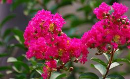 前半生劳碌辛苦，后半生将成功逆袭，有福有禄的四大生肖